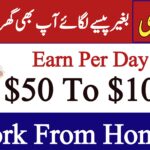 Best Online Jobs Without Investment – Work From Home in 2025, jobspk29