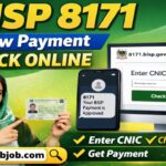 BISP 8171 New Payment Check Online – Complete Guide 2026, qabjob29